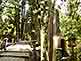 Mount Koya Okunoin Cemetery in Wakayama Prefecture