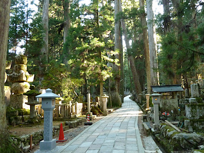 Mount Koya