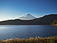 Lake Saiko Fuji Five Lakes