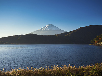 Lake Saiko Fuji Five Lakes