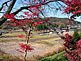 Magome Old Town in the Kiso Valley