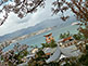 O-Torii gate of Itsukushima Shinto Shrine on Miyajima