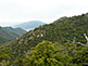 Mount Misen on Miyajima Island
