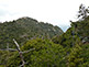 Mount Misen on Miyajima Island
