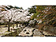 Omoto Park on Miyajima in Hiroshima Prefecture