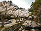 Miyajima Omoto Park