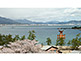 View from Omoto Park to O-Torii gate of Itsukushima Shrine, Miyajima