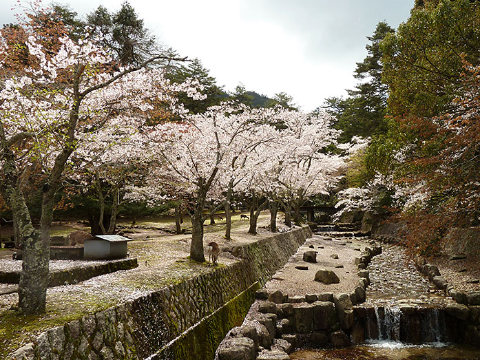 Omoto Park