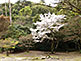 Omoto Park on Miyajima in Hiroshima Prefecture
