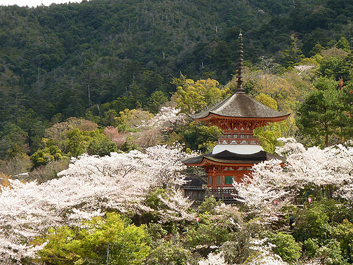 Miyajima Tahoto Pagoda