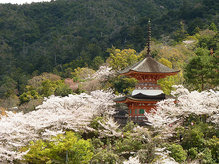 Tahoto Pagoda on Miyajima in Hiroshima Prefecture