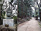 Buddha Statue along hiking trail on Mount Shosha