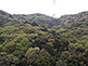 Ropeway on the way up to Mount Shosha in Himeji in Hyogo Prefecture