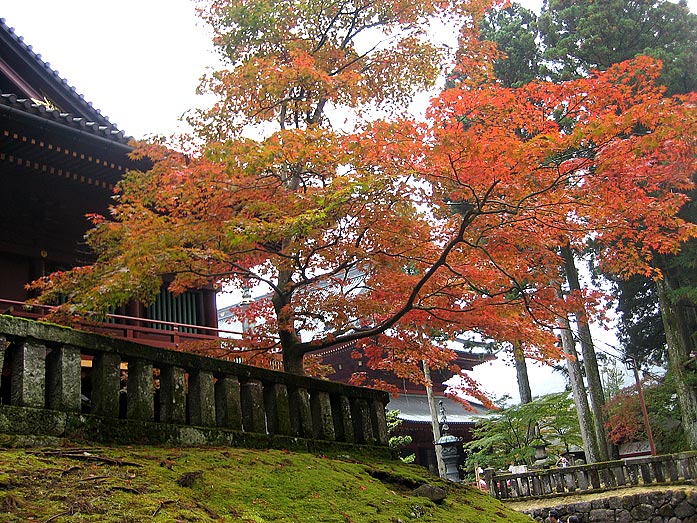Autumn Leafs at Rinnoji Temple in Nikko