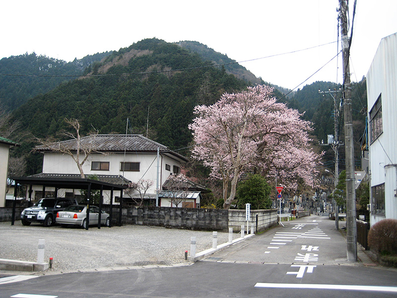 Residential Area in Nikko