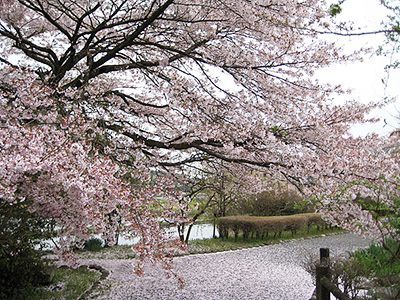 Nishi Nasuno Park