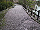 Cherry Blossom Season in Nogi Park in Nishinasuno, Tochigi Prefecture