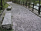 Cherry Blossom Season in Nogi Park in Nishinasuno, Tochigi Prefecture