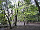 Cherry Blossom Season in Nogi Park in Nishinasuno, Tochigi Prefecture