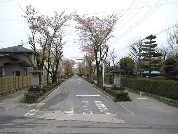 Street leading to Nogi Jinja Shrine in Nasushiobara-shi