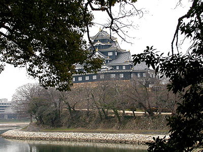 Okayama Black Castle