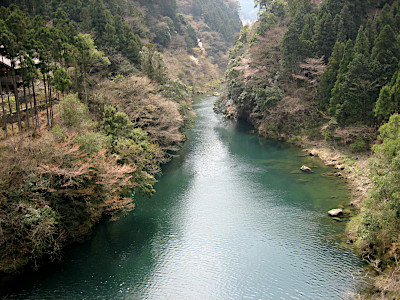 Okutama Tamagawa River