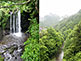 Hiking Path in Okutama Mountains near Tokyo