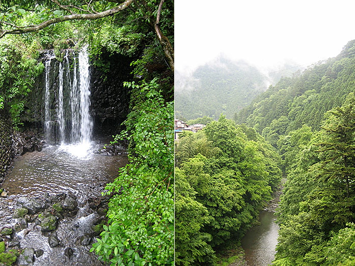 Okutama Mountains Hiking Path