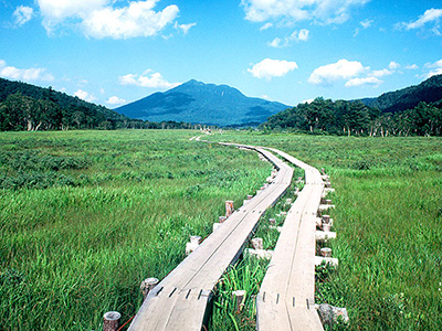 Oze National Park in Japan