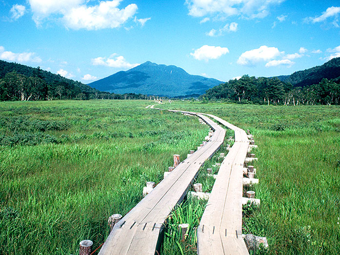 Hiking trail in Oze National Park