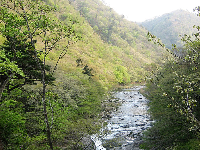 Hokigawa River in Shiobara Valley