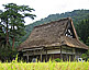Shirakawago Village Gassho-Zukuri Farmhouses
