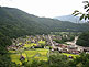 Shirakawago Village Gassho-Zukuri Farmhouses