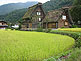 Shirakawago Village Gassho-Zukuri Farmhouses