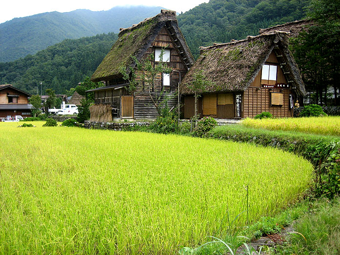 Shirakawago Village Gassho-Zukuri Farmhouses