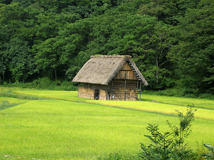 Shirakawago Village Gassho-Zukuri Farmhouses