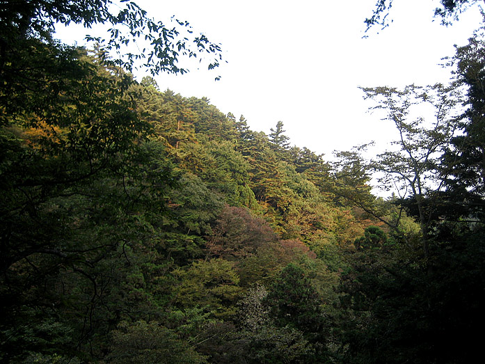 Mount Takao Hiking
