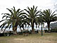 Toba City Park