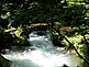 Oirase Stream near Lake Towada in Aomori Prefecture