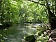 Hiking Trail along the Oirase Stream near Lake Towada