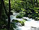 Oirase Stream near Lake Towada in Aomori Prefecture