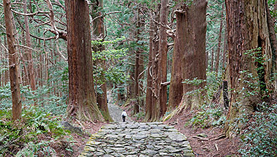 Daimonzaka Kii Mountain Range