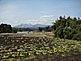 Countryside of Yaita in Tochigi Prefecture
