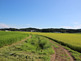 Rice Field in Yaita City in Tochigi Prefecture