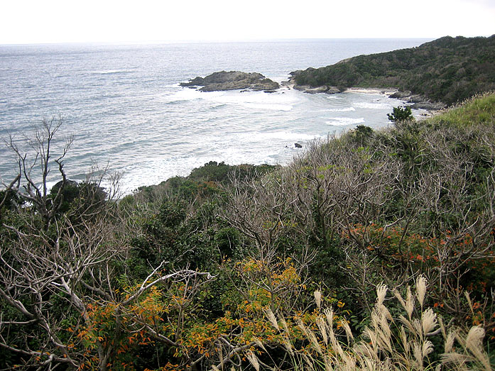 Coastline of Yakushima Island