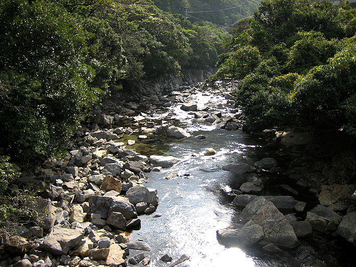 Yakushima Island River