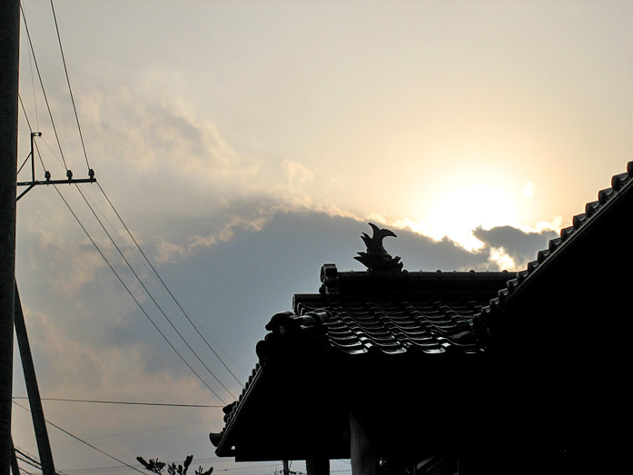 Old Roof at Yakushima Island