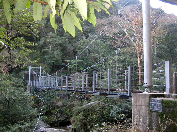 Yakushima Island Shirataniunsuikyo known as Princess Mononoke Forest