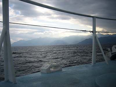 Yakushima Island