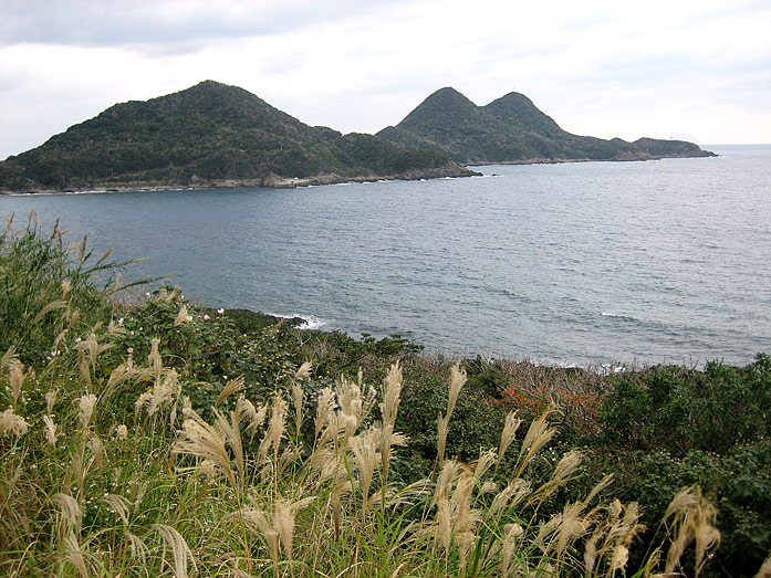 Coastline of Yakushima Island